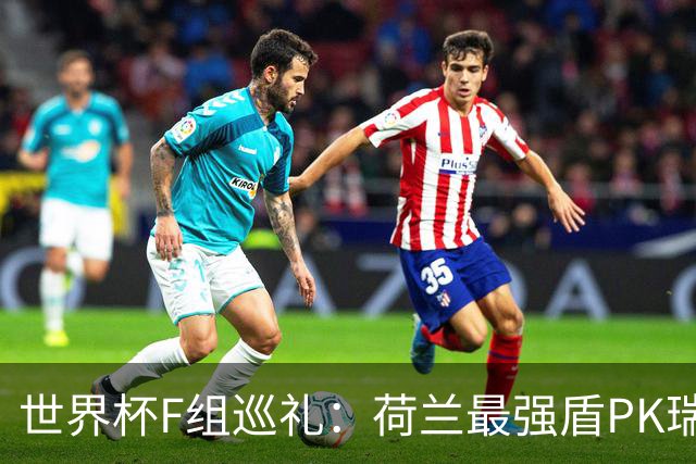 世界杯F组巡礼：荷兰最强盾PK瑞典犀利刀 日本短板明显